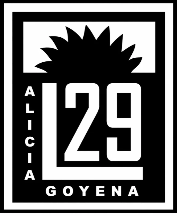 Liceo Nº 29 Alicia Goyena